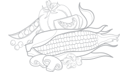 shape 1 1